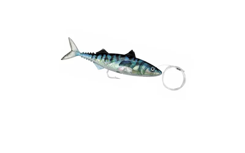 Williamson Live Mackerel Rigged, At Price Of 10.02 € - Image 3