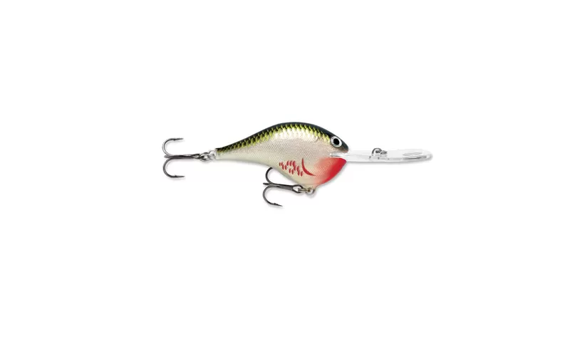 Rapala DT Metal Disc, At Price Of 13.24 € - Image 5