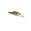 Sea BUZZ River Shad, At Price Of 8.74 €