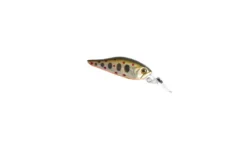 Sea BUZZ River Shad, At Price Of 8.74 €