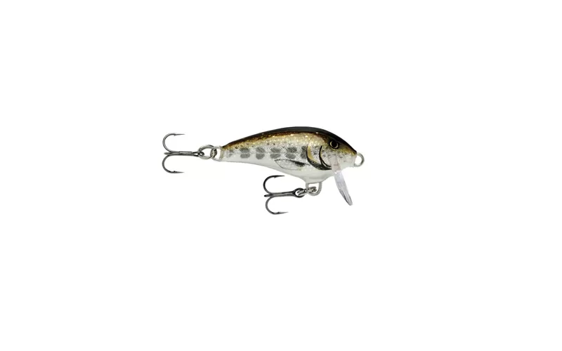 Rapala Mini Fat Rap MFR, At Price Of 8.23 € - Image 16