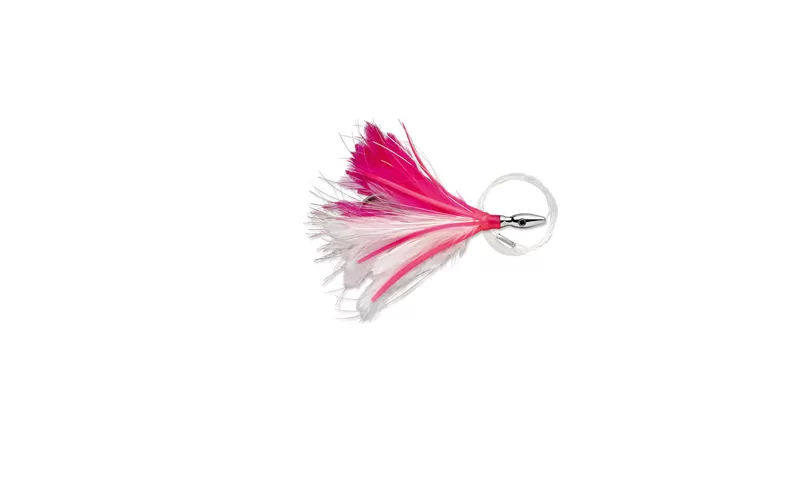 Williamson Flash Feather Rigged, At Price Of 7.72 € - Image 3