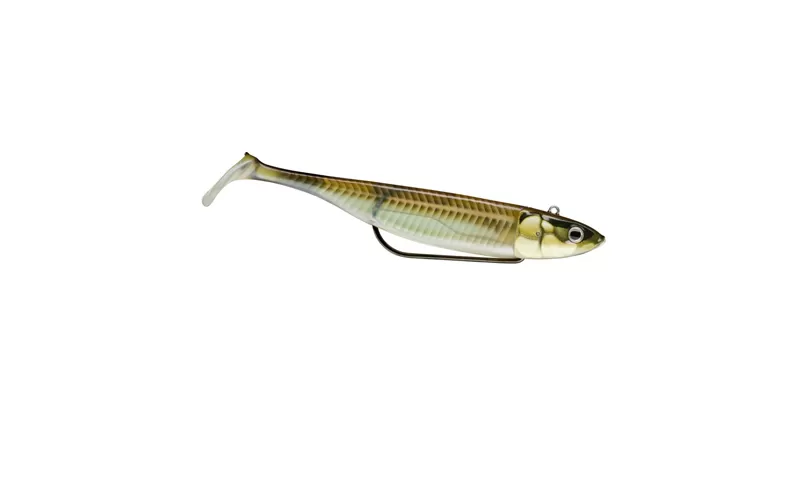 Storm 360GT Coastal Biscay Shad, At Price Of 10.16 €