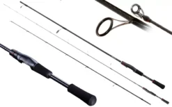 Shimano Zodias Spinning, At Price Of 189.69 €