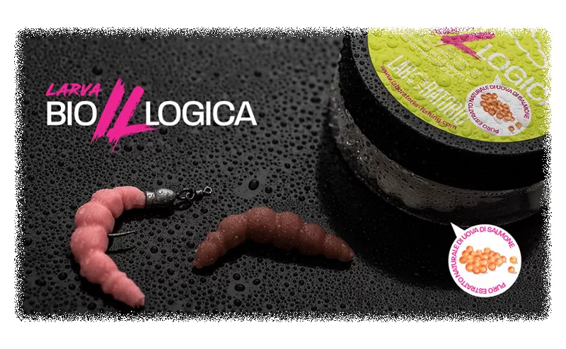 GL Larva BioILLogica, At Price Of 7.73 € - Image 4