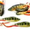 Angry Perch G-Tail PE-150-B, At Price Of 7.57 €
