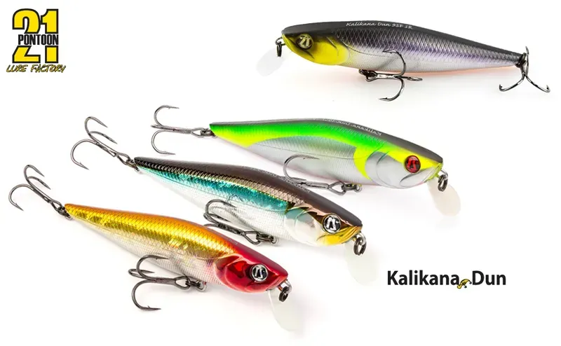 Pontoon 21 Kalikana Dun, At Price Of 14.26 € - Image 3