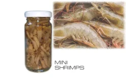 Preserved Mini Shrimps, At Price Of 5.62 €